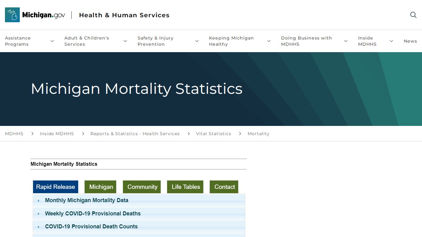 MDHHS - Mortality - Michigan